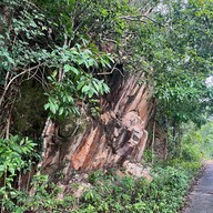 ป่าในเมือง - ช่อง5 (เขาคอหงส์)