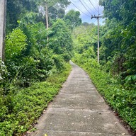 ป่าในเมือง - ช่อง5 (เขาคอหงส์)