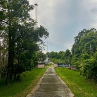 ป่าในเมือง - ช่อง5 (เขาคอหงส์)