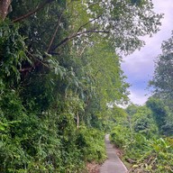 ป่าในเมือง - ช่อง5 (เขาคอหงส์)