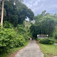 ป่าในเมือง - ช่อง5 (เขาคอหงส์)