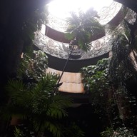 สวนสันติอโศก