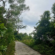 ป่าในเมือง - ช่อง5 (เขาคอหงส์)