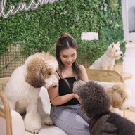 Zucca - The Pet Sanctuary & Cafe Zucca Cafe