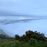 เส้นทางศึกษาธรรมชาติกิ่วแม่ปาน