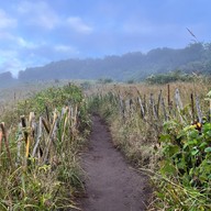 เส้นทางศึกษาธรรมชาติกิ่วแม่ปาน