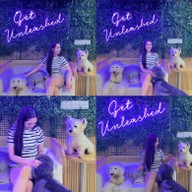 Zucca - The Pet Sanctuary & Cafe Zucca Cafe