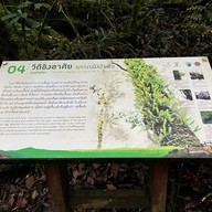 เส้นทางศึกษาธรรมชาติกิ่วแม่ปาน