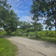 ป้าคอง ตามสั่งริมคลอง