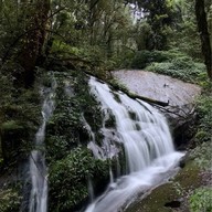 เส้นทางศึกษาธรรมชาติกิ่วแม่ปาน