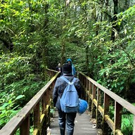 เส้นทางศึกษาธรรมชาติกิ่วแม่ปาน