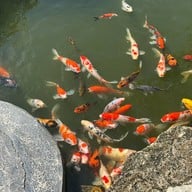 ณ ชล บางแสน