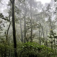 เส้นทางศึกษาธรรมชาติกิ่วแม่ปาน