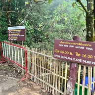 เส้นทางศึกษาธรรมชาติกิ่วแม่ปาน