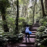 เส้นทางศึกษาธรรมชาติกิ่วแม่ปาน