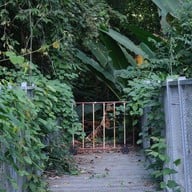 สวนพฤกษศาสตร์สมเด็จพระนางเจ้าสิริกิติ์