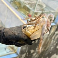 ร้านครัวบ้านพ่อตา พัทยาใต้