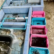 ร้านครัวบ้านพ่อตา พัทยาใต้