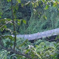 สวนพฤกษศาสตร์สมเด็จพระนางเจ้าสิริกิติ์