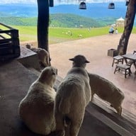 บรรยากาศ Akha Farmville