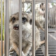 เซ็นทรัลพระราม 9