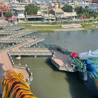 บรรยากาศ Dragon & Tiger Pagodas