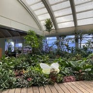 บรรยากาศ Kaohsiung International Airport