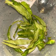 ครัวภูเก็ตxแพงใต้ ข้าวแกงใต้ อาหารตามสั่ง-ซอยสมานมิตร ซอยสมานมิตร