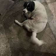 SUSU Korean BBQ Garden บ่อวิน