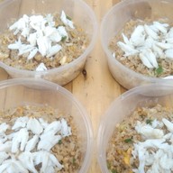 กานดาข้าวผัดปู สารินซิตี้