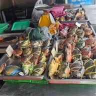 ปูนึ่ง ( น้องอีฟ )