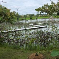 บรรยากาศ Cafe' De La Mon