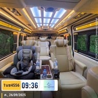 Pongyang Jungle Coaster Zipline Camp&Resort