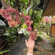 ไม้เฮือน ๖๐(กาแฟดอยช้างแม่ริม) แม่ริม เชียงใหม่