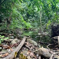 น้ำตกโตนงาช้าง