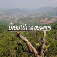 อึ่งอบโอ่ง ณ ดอยสกาด