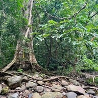 น้ำตกโตนงาช้าง