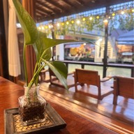 Thanicha Cafe&Restaurant