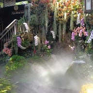 ไม้เฮือน ๖๐(กาแฟดอยช้างแม่ริม) แม่ริม เชียงใหม่