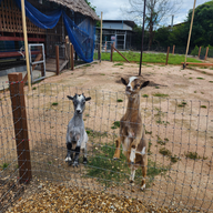 บรรยากาศ บ้านเมล่อนเดสเสิรท