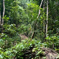 น้ำตกโตนงาช้าง