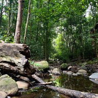 น้ำตกโตนงาช้าง