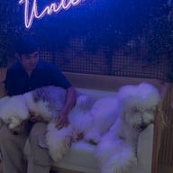 บรรยากาศ Zucca - The Pet Sanctuary & Cafe Zucca Cafe