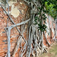 วัดสังกระต่าย