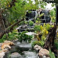 9 SALADs (นายน์สลัด) รามอินทรา กม7