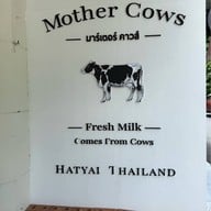 Mother cows Hatyai