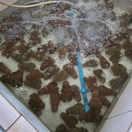 ชายเลซีฟู๊ด แอนด์ รีสอร์ท สะพานปลาชะอำ เพชรบุรี