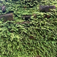 รัตนคีรีเจดีย์ วัดเขาพลอยแหวน