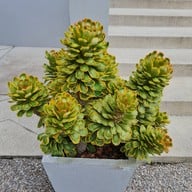 Hidden House Cafe & Bistro