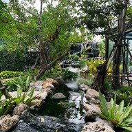 9 SALADs (นายน์สลัด) รามอินทรา กม7